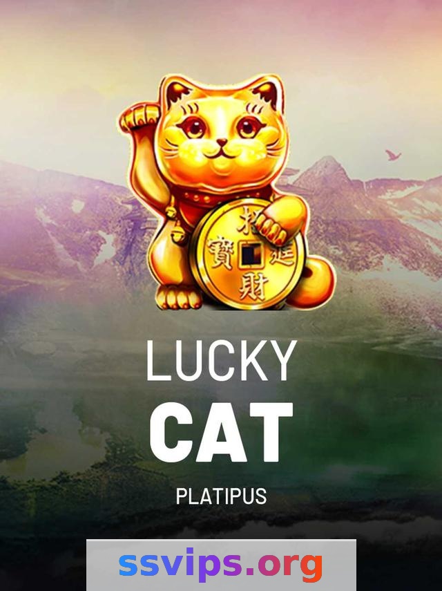 ssvip - Email de Suporte: Guia Completo 4 Imagem ilustrativa